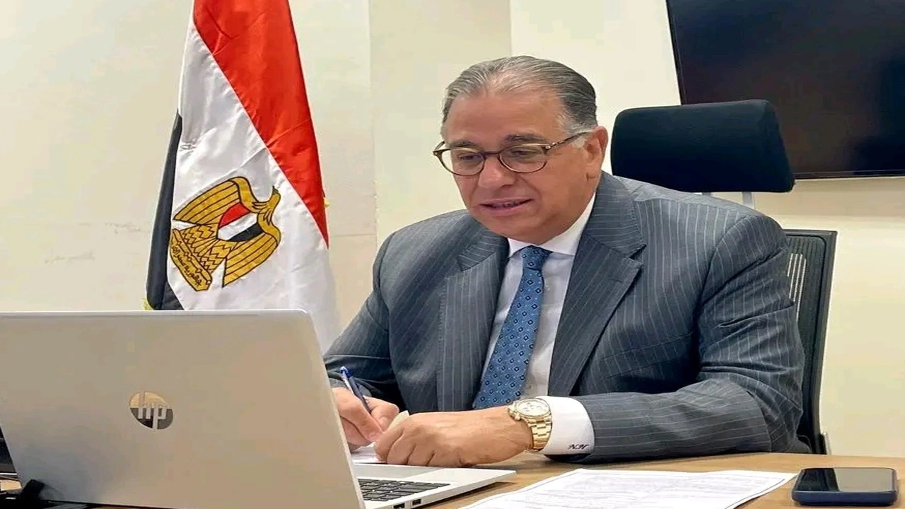نائب وزير الخارجية يثني على شجاعة المصريين المقيمين في الخارج